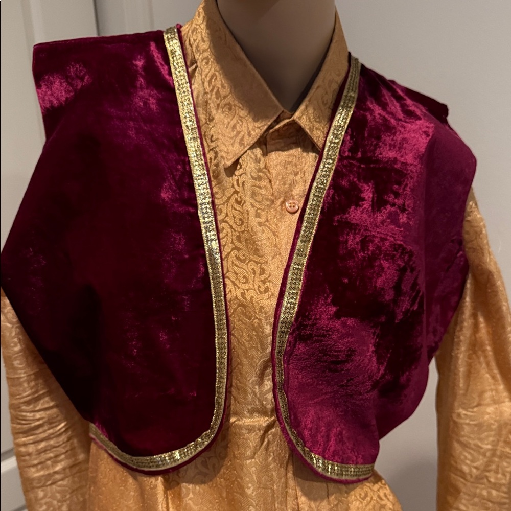 Brand New Women’s/Kids Punjabi Pink Velvet Vest